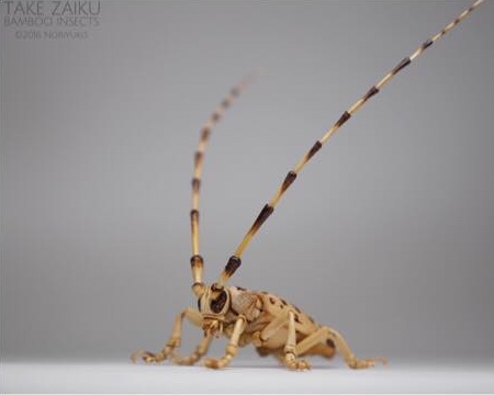Noriyuki Saitoh Bamboo Insect