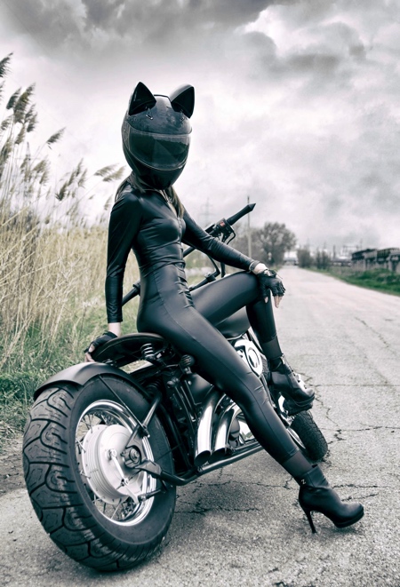 Cat Motorcycle Helmets