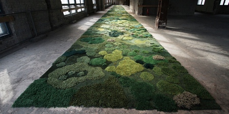 Forest Rugs