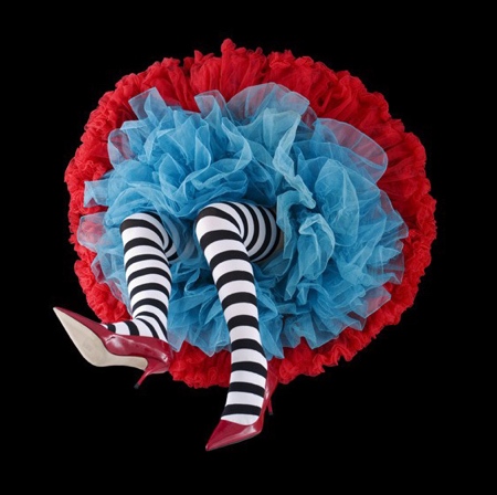 Crinoline Flowers by Daryl Banks