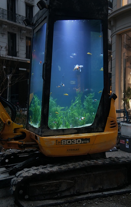 Digger Aquarium