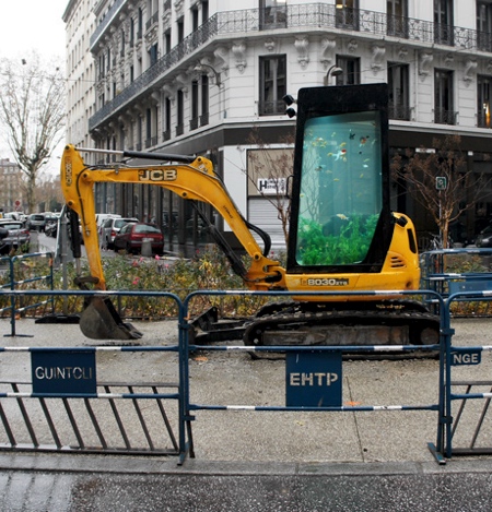 Benedetto Bufalino Excavator Aquarium