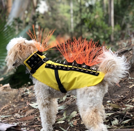 Anti-Coyote Dog Vest