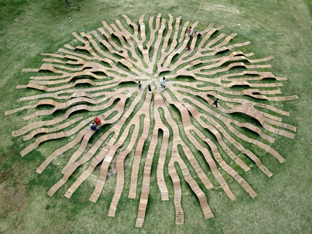 Tree Root Bench