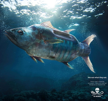 Sea Shepherd You Eat What They Eat