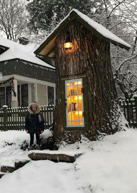 Old Tree Library