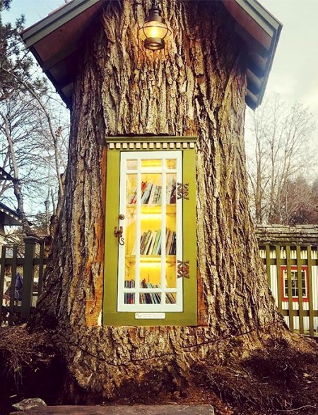 Little Tree Library