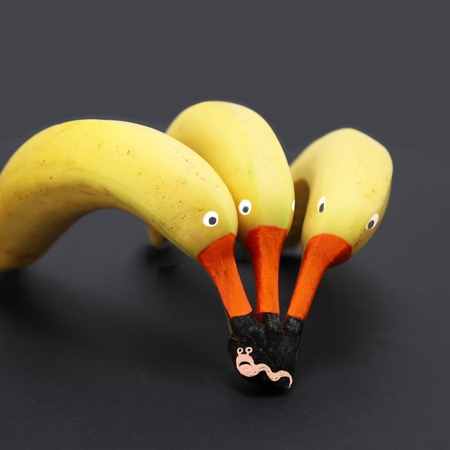 Animals Made of Food