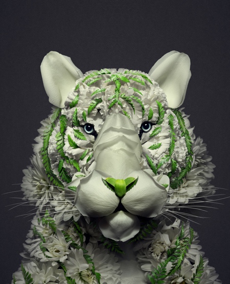 Animals Made of Flowers