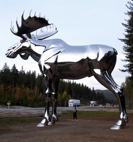 Mirror Moose in Norway