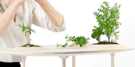 Table with Plants