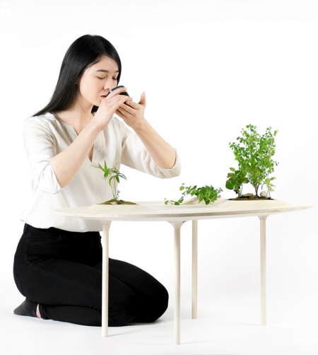 Plants Table