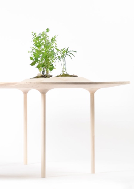 Wooyoo Table with Plants