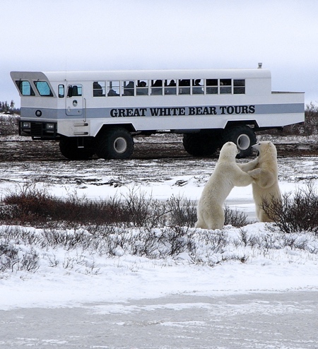 Polar Rover