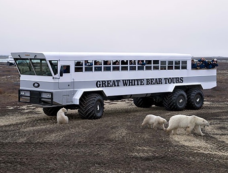 Polar Hotel on Wheels