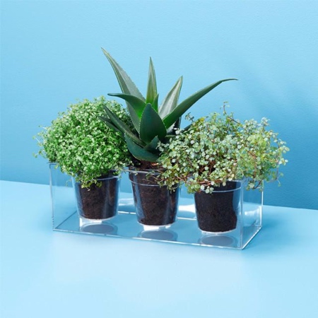 Boskke Cube Planter