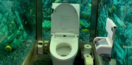 Aquarium Toilet