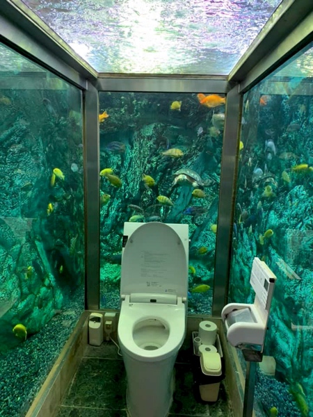 Toilet in Aquarium