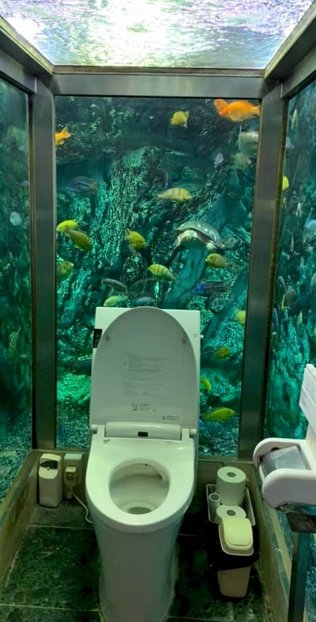 Japanese Aquarium Toilet