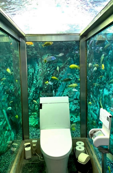 Aquarium Toilet in Japan