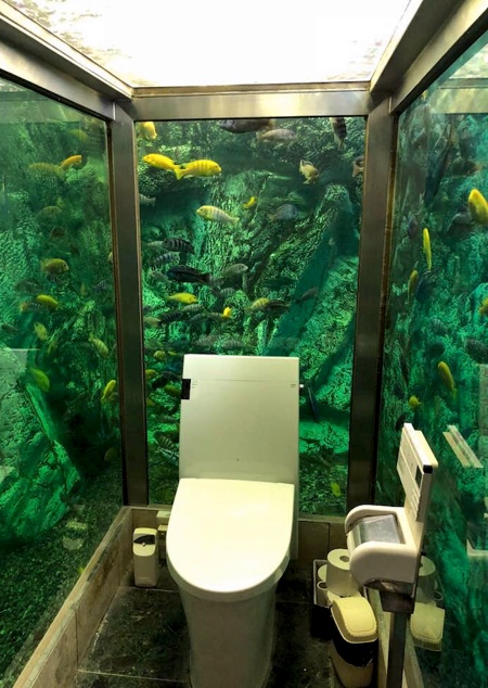 Hipopo Papa Aquarium Toilet