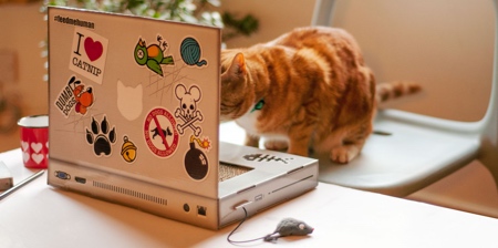 Cat Laptop