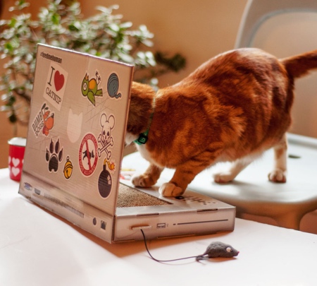 Cat Laptop Scratching Post