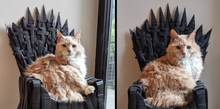 Game of Thrones Cat Throne