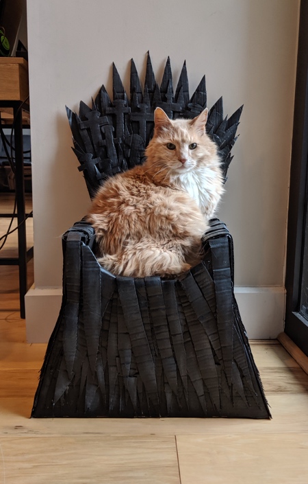 Cat Iron Throne