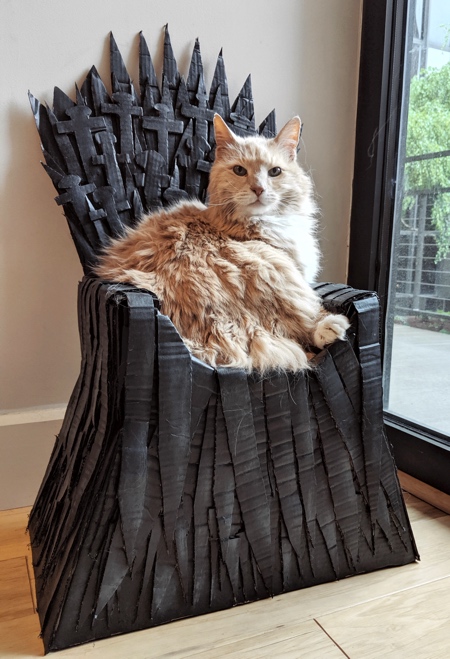 Cat Game of Thrones