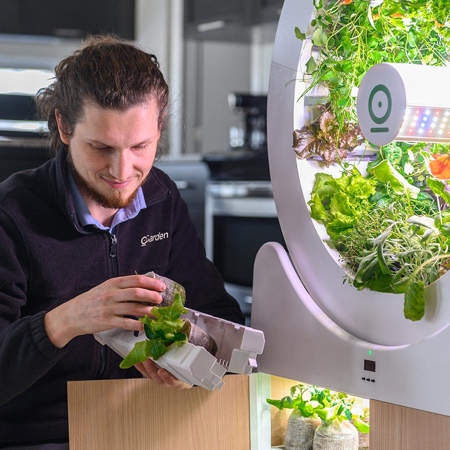 Indoor Gardening