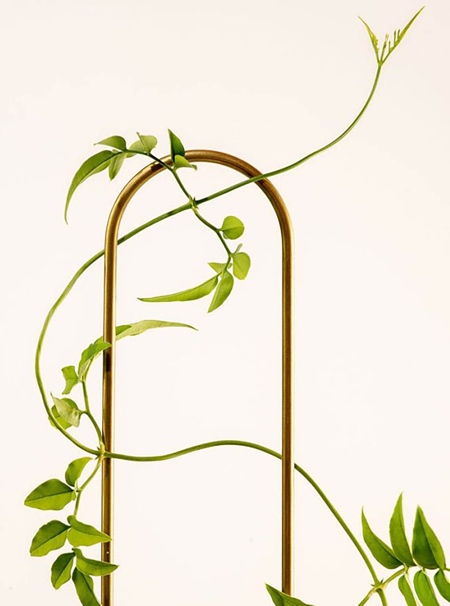 Brass Plant Stick