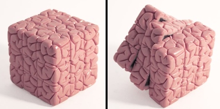 Brain Rubiks Cube