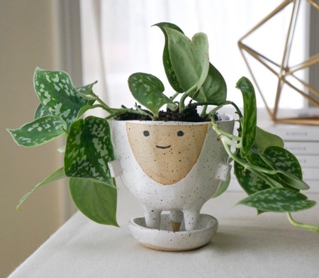 Hair Planter