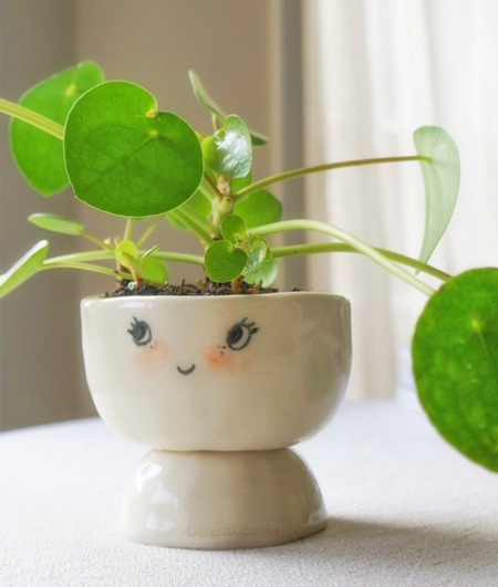 Hairstyle Planters