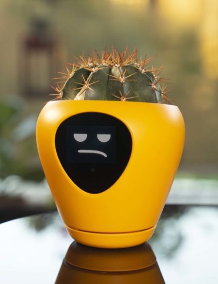 Vivien Muller Smart Planter