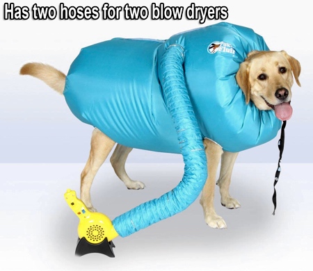 Dog Blow Dryer
