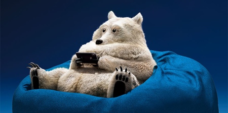Lazy Animals Lazy Animals