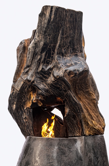 Wood Fireplace