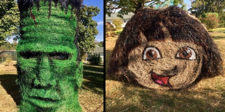 Halloween Hay Art