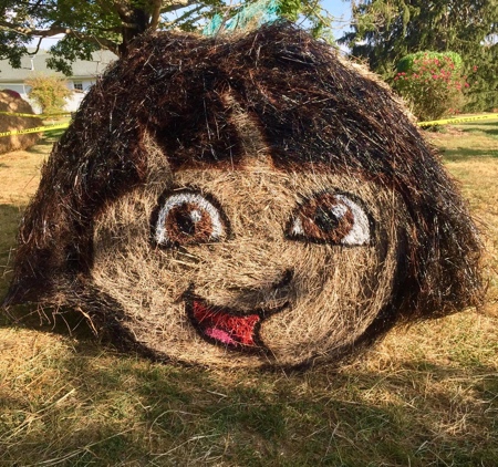 Hay Art