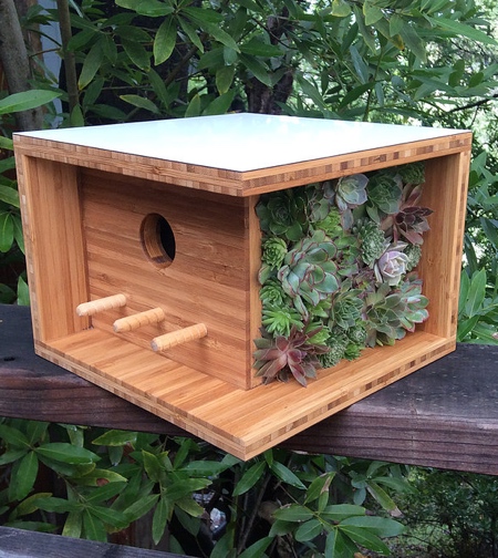 Modern Bird House