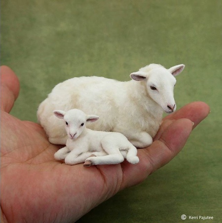 Kerri Pajutee Miniature Animals