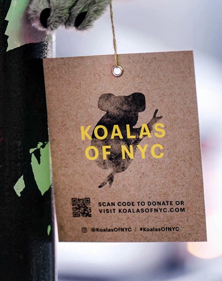 Koalas of NYC