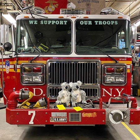 Koala Toys in New York City