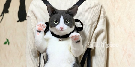 Cat Backpack