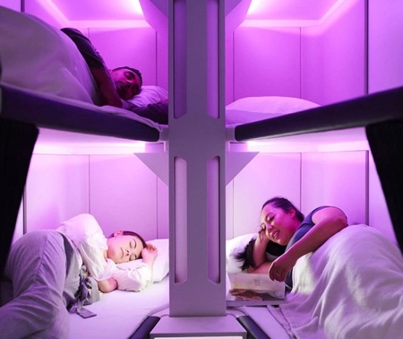 Air New Zealand Skynest