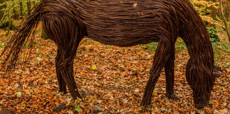 Willow Sculptures