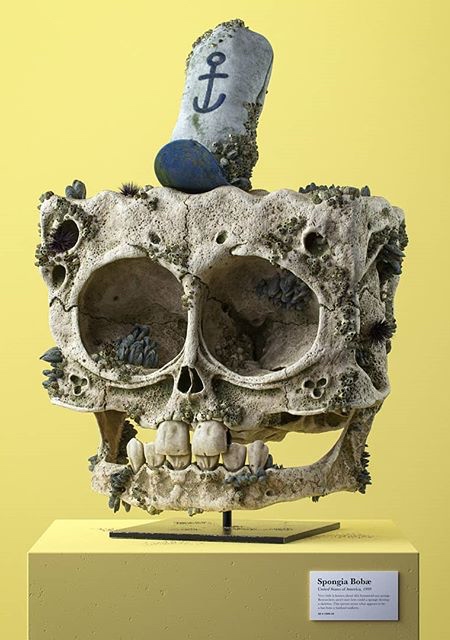 Filip Hodas Cartoon Skull