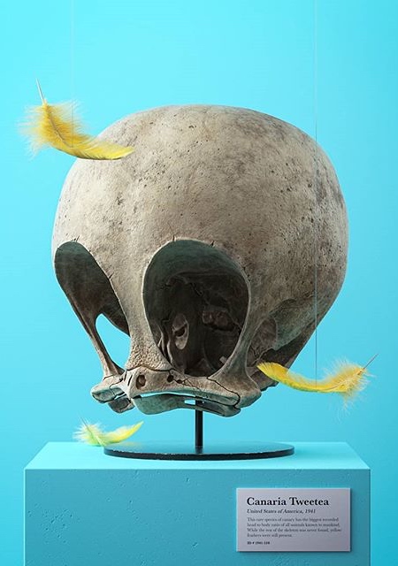 Filip Hodas Cartoon Skulls